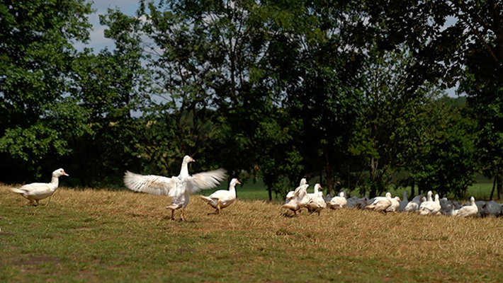 Image slider 1