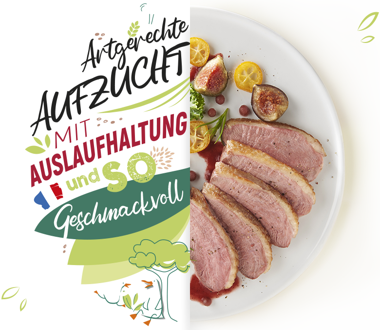 Composition of a plate of duck