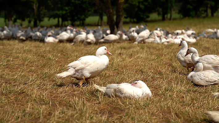 Image slider 2