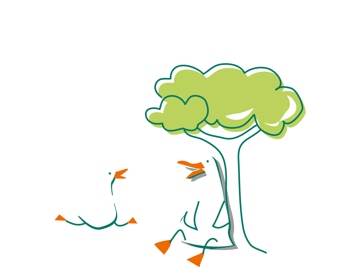Ducks lounging in the sun
